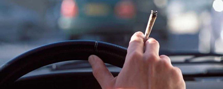 Cannabis au volant à Vienne